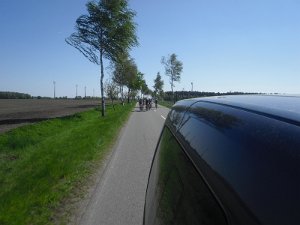 RTF Celle 2011 Manfred 208